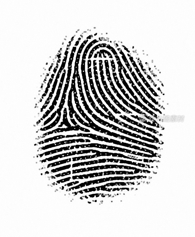 Fingerprint texture 9